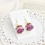 作品𝆯⁕𑁍𐇵 Purple Rose & Akoya pearls 𐇵𑁍⁕𝆯  薔薇 ピアス イヤリング