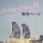 作品cf-haruharu様専用ページ