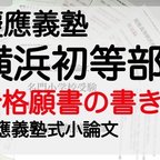 作品小学校受験 お受験 モンテッソーリ 願書　慶応義塾横浜初等部 過去問 願書 早稲田実業 慶応幼稚舎 稲花 筑波附 お茶の水