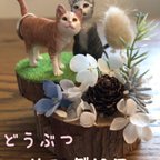 作品どうぶつ リングピロー  ウェディング ねこ