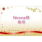 作品Nicona様専用