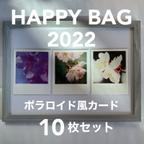 作品【予約受付中・送料無料】HAPPY BAG 2022 ポラロイド風カード10枚セット【ノーマル】