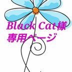 作品Blackcats6 様専用ページ　４個セット（送料無料)