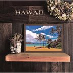 作品【送料無料】南国の風景☆HAWAII No.745                       フレーム付    A4サイズ