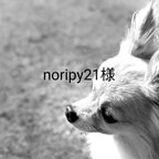 作品noripy21様専用