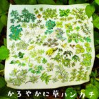 作品かろやかに草ハンカチ