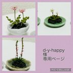 作品d-y-happy様専用ページ