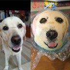 作品愛犬似顔絵風鈴 受注生産