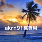 作品akrn91様専用ページです