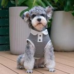 作品犬のタンクトップ、夏用かわいいペット猫ポロシャツ、インスタグラムで人気のあるテディ、スノーナイ、小型犬用の犬服