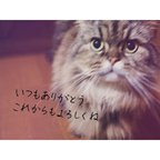 作品写真への手書き文字入れ承ります