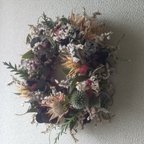 作品ある日の植物たち