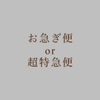 作品お急ぎ便or超特急便　※ネイルチップと一緒にカートに入れてください