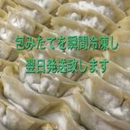 作品自家製 冷凍 和風生餃子　72個　にんにくニラ無し 自家製ぽん酢付き