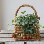 作品いちごとヘデラのハンドバッグ型籠 寄せ植え