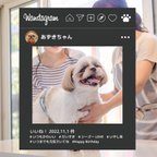 作品ペット 写真 パネル 顔出し｜インスタ｜SNS｜オフ会｜年賀状｜店舗｜ペットサロン｜犬｜卒園式｜入学式｜卒業式｜入園式｜ハロウィン｜No.14