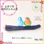 作品紀州備長炭 止まり木 20.5㎝ No.165 備長炭 パーチ とまり木 爪とぎ