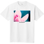 作品COLORS&co マグノリアTシャツ