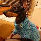作品ボタンがかわいいアラン編みセーター 水色 犬服　猫服S〜Mサイズ