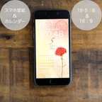 作品【2024】5月　スマホ壁紙カレンダー　　4点セット　カーネーション　レース　イラスト