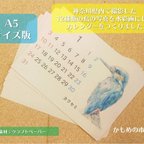 作品日本の鳥カレンダーA5版【水彩画】🦜