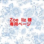 作品zoe liz様専用ページです