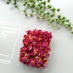 作品sale!薔薇の花びら　ドライフラワー