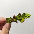 作品SALE多肉植物の寄せ植え風ヘアークリップ 