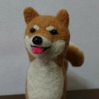 作品【yamapi08様 専用商品】ふわふわしっぽの柴犬くん