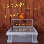 作品【インコの幸せ】バードシャワーML 【受注生産】