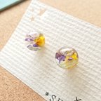 作品＊*ハーバリウムピアス 小さめ幻想カラー＊*