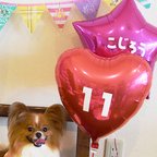 作品愛犬の誕生日　バルーンパーティーセット　お名前＆数字が入るよ(ピンク）