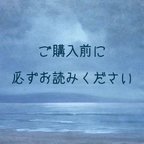 作品ご購入前に必ずお読みください