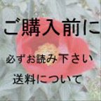 作品「ご購入の前に」必ずお読み下さい