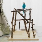 作品【バードジム】白樺仕様006：セキセイインコ・コザクラ・ボタンインコ・オカメインコなど用