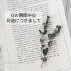 作品【GW期間中の発送につきまして】