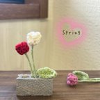 作品Spring♡ミニちゅーりっぷ