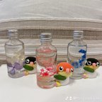 作品シロハラインコ ハーバリウム 置物 インテリア