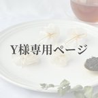 作品Y様専用ページ