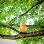 作品【送料無料】北の森のシマフクロウ　木彫り　北海道