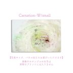 作品Carnation-W/small　ポスター【写真サイズ、パネル加工をお選びいただけます】 