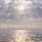 作品🕊‎サージカルステンレスダルマカンとカニカンへの変更をお知らせします♪