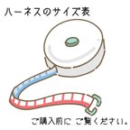 作品【 ハーネス サイズ表 】