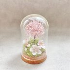 作品【再販】 sakura＊春色ガラスドームアレンジ/ 桜 / 送別 / 卒業 ･ 入学 / お花見 / おうち花見  / 母の日 / ガラスアレンジ / メッセージタグ