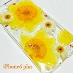 作品iPhone6plus押し花ケース