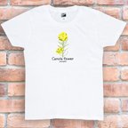 作品tシャツ　Tシャツ　