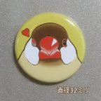 作品【文鳥マグネット】シナモン文鳥③