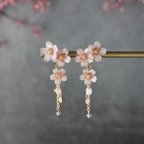 作品流れ咲く糸桜 ー濃桜ー