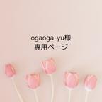 作品ogaoga-yu様専用ページ