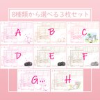 作品8種類から選べるチンチラさん3枚セット